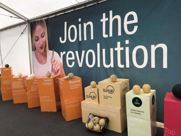 Meloni e angurie, nuove tipologie e sapori